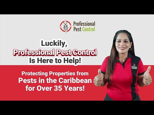 top Termites & Protect Your Home with Professional Pest Control