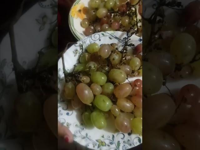 #grapes #shorts#arooj Fatima cooking vlogs #grapes️️