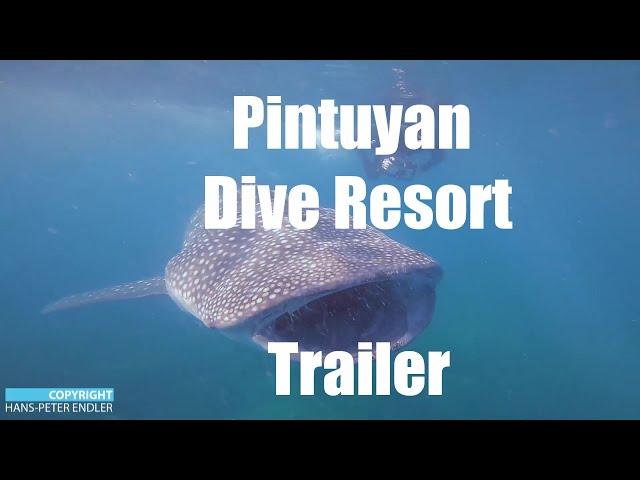Dive Philippines #16 - Trailer Pintuyan Dive Resort Movie - Hans-Peter Endler