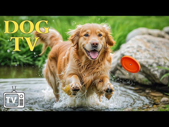 DOG TV for Dogs to Watch + Best Music for Dogs: Video Entertain Relax Your Dogs & Anti Anxiety Dogs