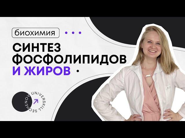 Биохимия | Синтез жиров и фосфолипидов