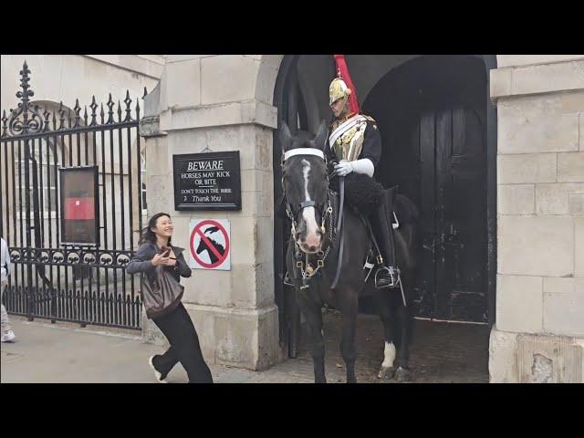 Slow down tourist running at the horse #royalhorseguard