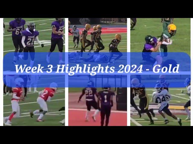 Week Three Highlights 2024 - Gold