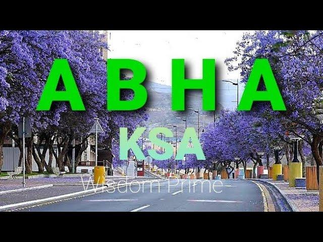 ABHA | Saudi Arabia's most stunning place to visit | most dangerous roads in abha saudi arabia