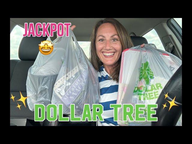 Dollar Tree Haul | JACKPOT FINDS  Watermelon Overload 