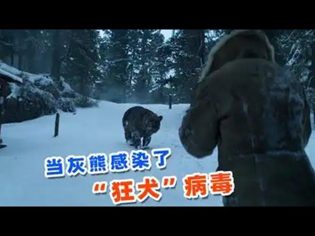 2025最新影片《憤怒》當灰熊感染了狂犬病毒，謹慎觀看 #影視解說 #每日推薦電影 #憤怒 #壹口氣看完系列 #驚悚
