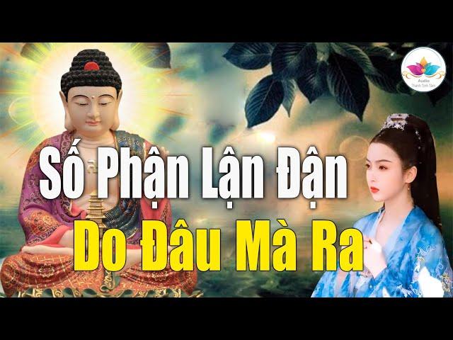 Lời Phật Dạy Vì Sao Số Kiếp Bạn Lận Đận Khổ Cực Hãy Nghe Phật Lý Giải Nguyên Nhân Để Tỉnh Ngộ #Pháp