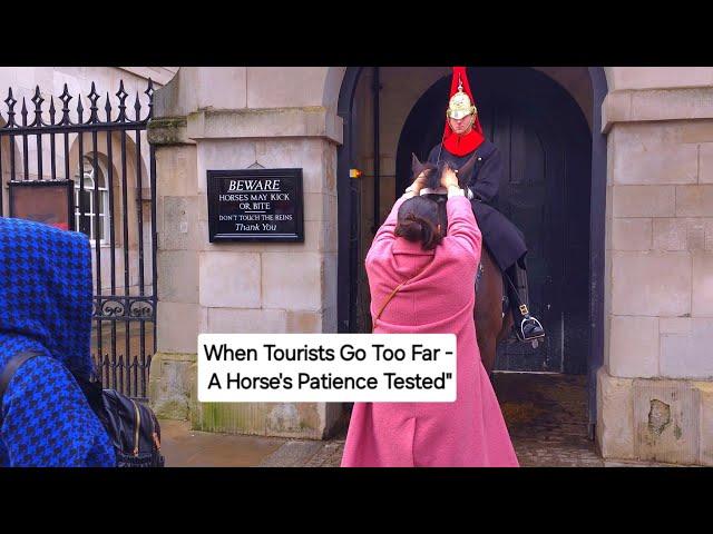 When Tourists Go Too Far - A Horse's Patience Tested