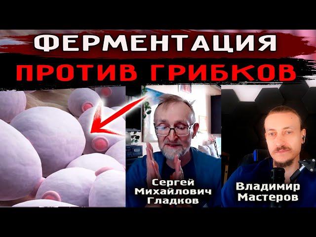 Ферментированная низкоуглеводная диета от Гладкова Сергея Михайловича. #грибок #кишечник #кето