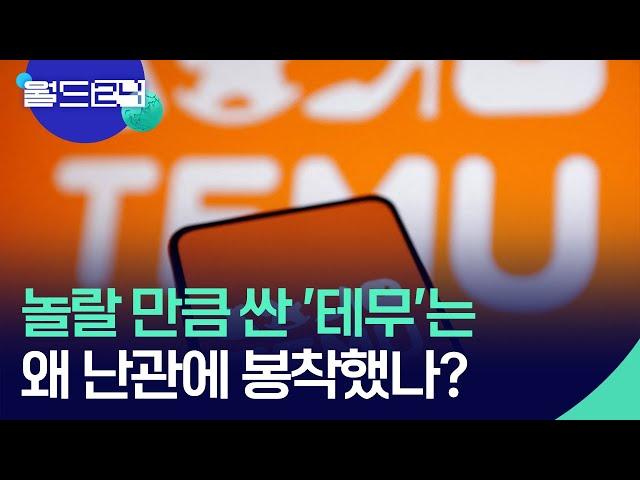 저렴한 중국 쇼핑몰, 동남아시아에서 난관에 부딪힌 이유는? [뉴스의 2면] / KBS  2024.11.19.