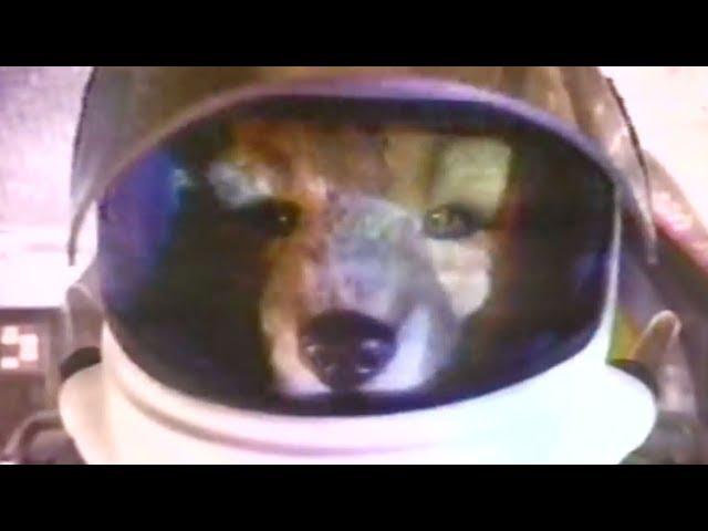 Star Fox SNES Commercial - Retro Game Trailers