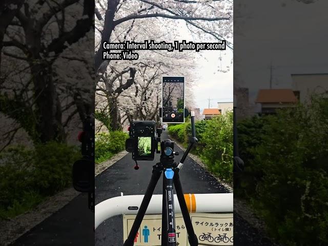 How to film and photograph yourself when you solo travel