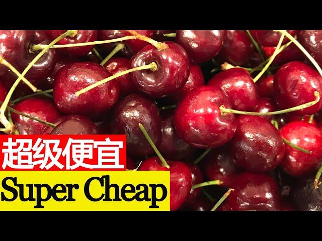 美国红樱桃真的超级便宜! American red cherries are really super cheap!【我的美国生活 My American Life 52】