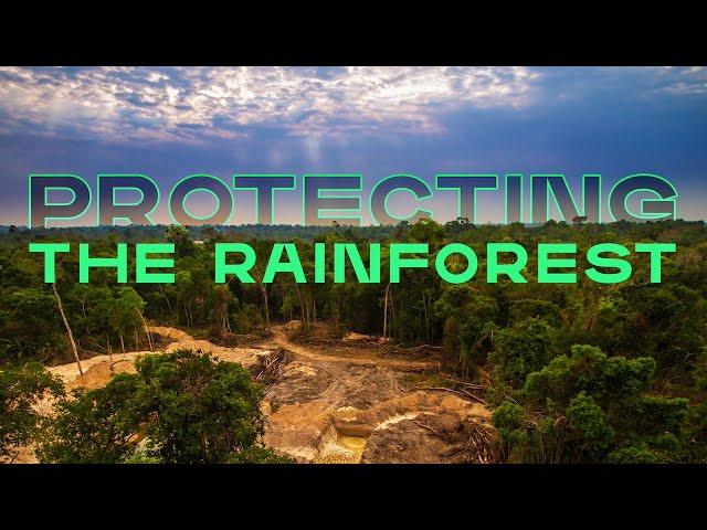 This $10 Million Competition Will Protect the Amazon and Rainforests Worldwide