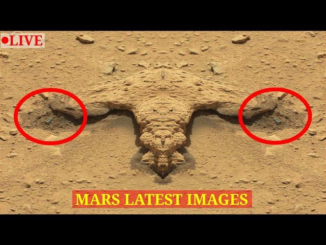 Mars Curiosity Rover Released Latest Images LIVE 2022- MARTE