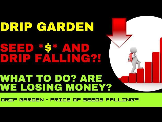 DRIP Garden Seed Price $ Falling?! - What To Do? - Should I Be Worried? - DRIP Garden General Tip