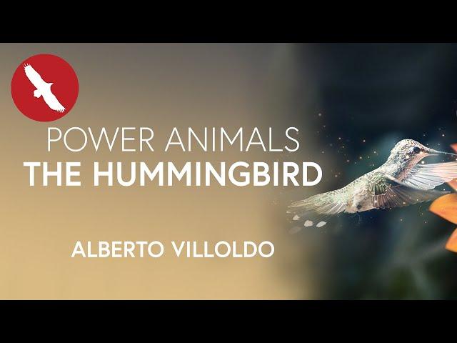 Power Animals - THE HUMMINGBIRD - Alberto Villoldo