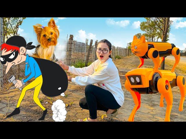 Changcady review chó robot trông nhà giá rẻ, chó robot chạy pin năng lượng mặt trời
