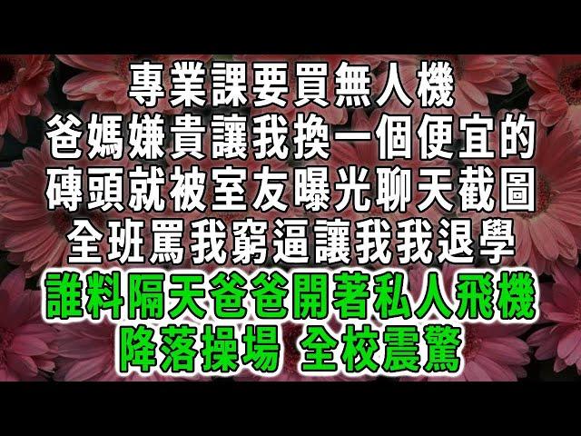 專業課要買無人機，爸媽嫌貴讓我換一個便宜的，磚頭就被室友曝光聊天截圖，全班罵我窮逼讓我我退學，誰料隔天爸爸開著私人飛機，降落操場 全校震驚#荷上清風 #爽文