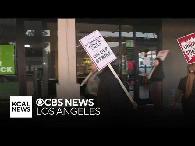 Workers at Starbucks go on planned strike ahead of busy holidays