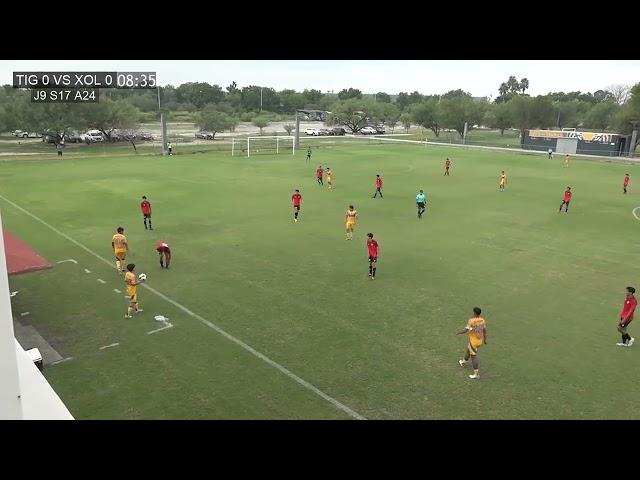 Sub 17 | Tigres 1-1 Xolos | Partido Completo J9 Ap2024