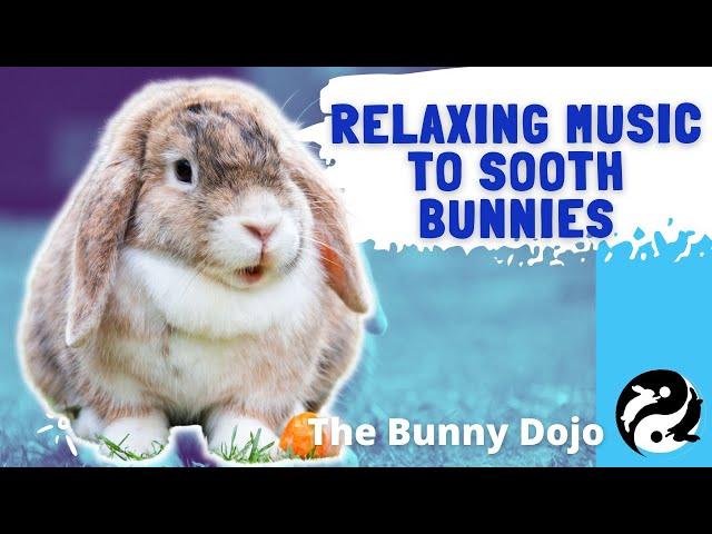 MUSIC TO KEEP BUNNIES COMPANY