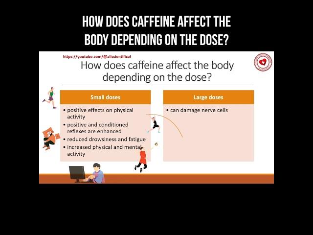 How does caffeine affect the body depending on the dose? #caffeine #coffee #coffeelover #health