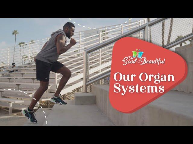 Our Organ Systems | Health and the Physical Body | The Good and the Beautiful