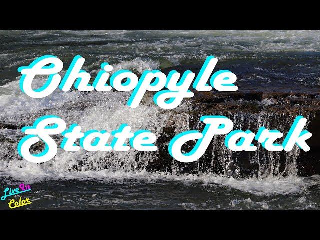 LiveInColor in the Wild: Ohiopyle State Park