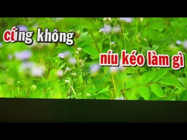 BAI  6.  TINH DAU DANG DO MOI KEP SONG CA