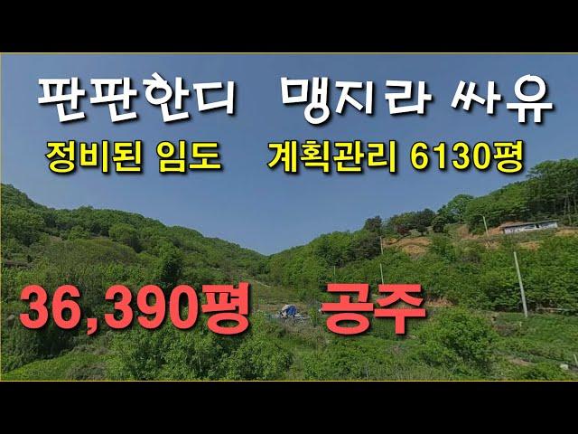 공주  36,390평, 계획관리 6130평,  ■충남 완만하고 잘 관리된 임도, 맹지 싼 땅, 도로 내면 대박나는 임야, 캠핑장, 야영장