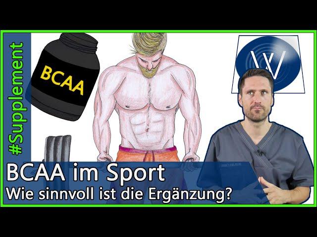 BCAA für Muskelaufbau & Ausdauer aus ärztlich-wissenschaftlicher Sicht: Wem es hilft & wem nicht