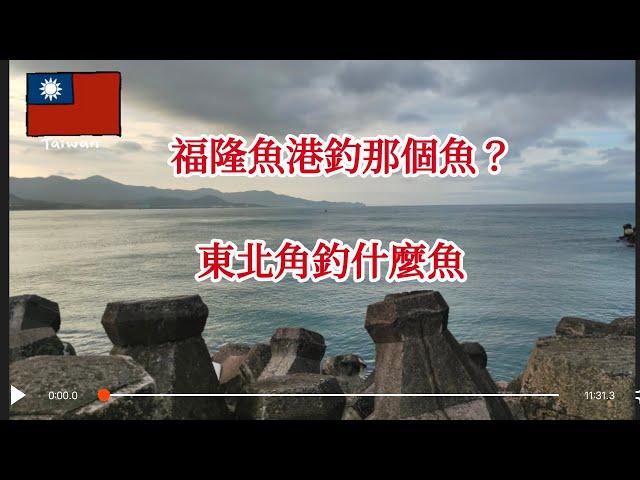 台灣釣魚樂（46）福隆魚港有虱目魚每次來都釣不到烏魚的朋友虱目魚？