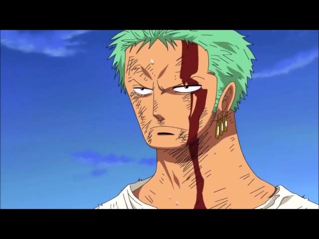 One Piece - Zoro Takes Luffy's Pain [HD]