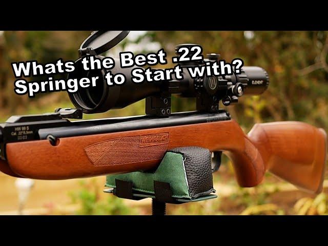 Weihrauch HW99S - Best .22 Inexpensive Beginner Airgun - IMO