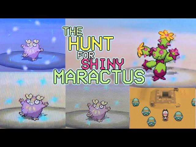 646 - The Hunt for Shiny Maractus! 4 LIVE Shiny Pokemon in Gen V (Black and White)