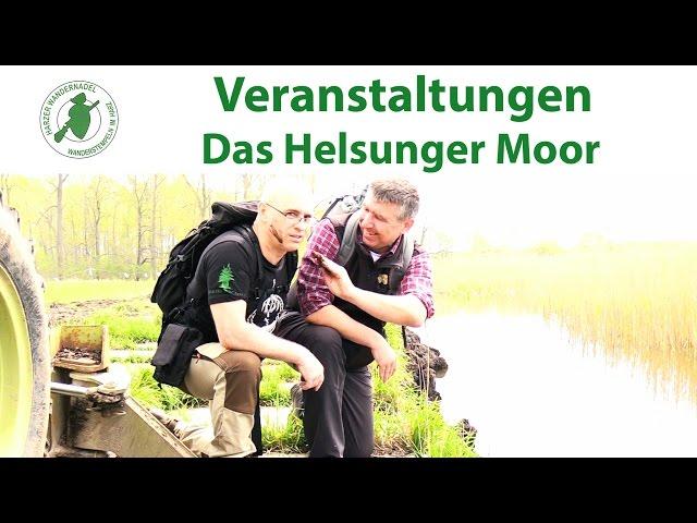 Wandern im Harz: Mit der Harzer Wandernadel ins Helsunger Moor