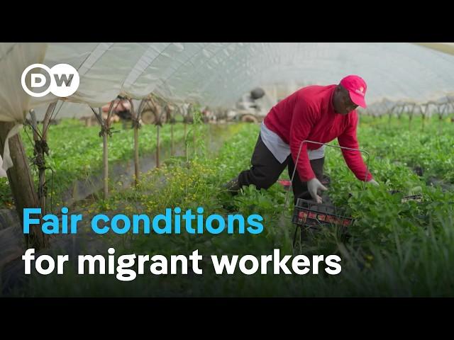 The fight against exploitation of migrant workers in Italy | DW Documentary