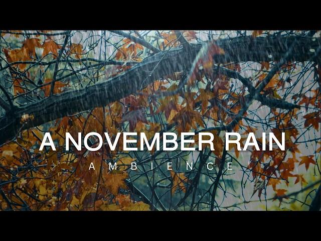 10 Hour   Autumn Rain Ambience in November for Sleep  | Relaxation | Meditation  Fall Abundance