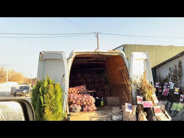 Дорога в с.Желябовка, оптовый рынок овощей.