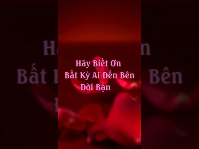 Mọi Cuộc Gặp Gỡ Trên Đời Đều Có Lý Do – Hãy Biết Ơn Điều Đó  #mytranjourney #truyendongluc