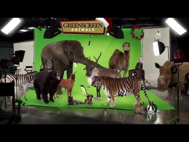 GreenScreen Animals Holiday Greeting