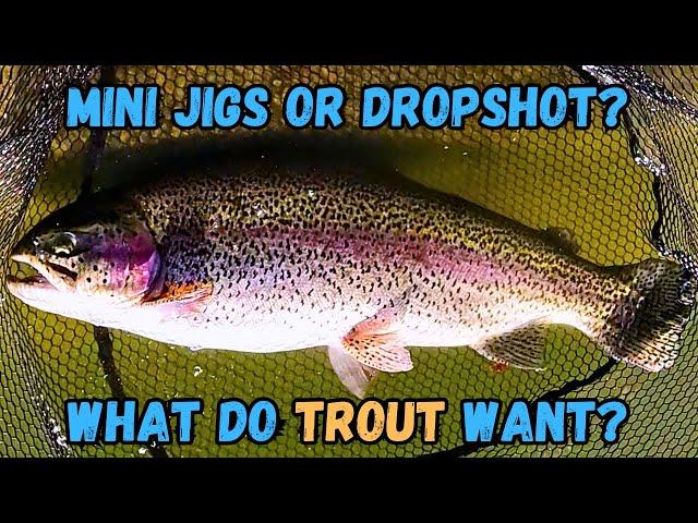 Trout Fishing: Mini Jigs Vs Double Dropshot - Hesperia Lake