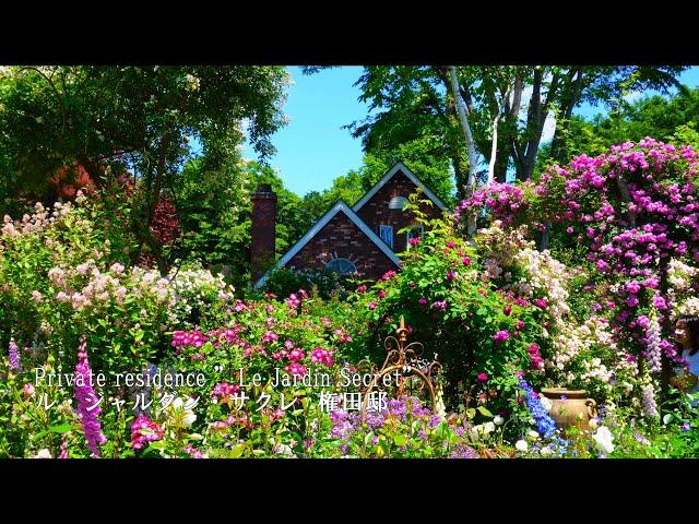 【Private residence】 It was a paradise of flowers!  Le jardin secret 2024 Gonda Residence