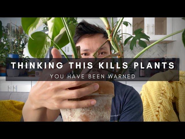 Aerial Roots & Water Roots... Not the Same! | Rooting & Propagation Care Tips | Ep 130