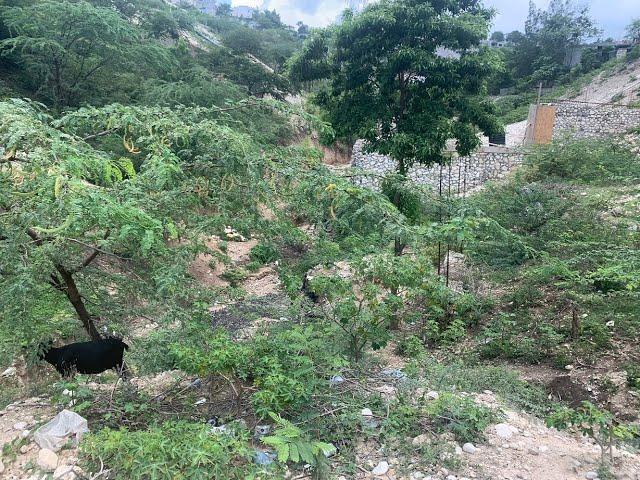 Cheap Land For Sale In Petion-Ville (Vivy Mitchell), Haiti: 580.5 Square Meters (4 1/2 Centiemes)