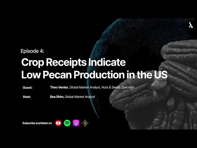 Tridge AgriNow EP 4 | Crop Receipts Indicate Low Pecan Production in the US