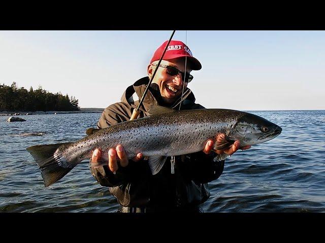 Fliegenfischen auf Meerforelle, Flyfishing.