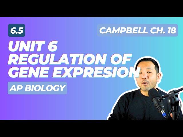 AP Biology Unit 6: Gene Regulation in 10 minutes! (Chapter 18 of Campbell)