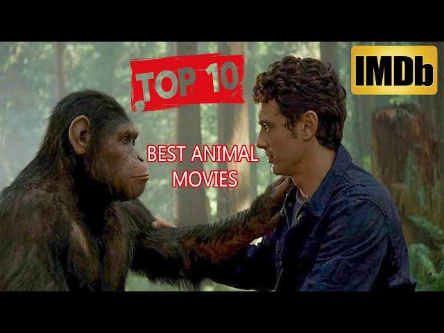 Top 10 Best Animal Movies of all time/According To IMDb score